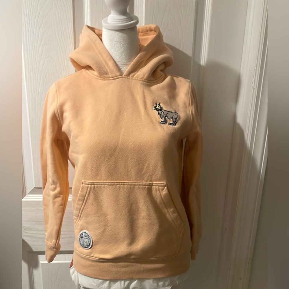 G.O.A.T peach youth hoodie